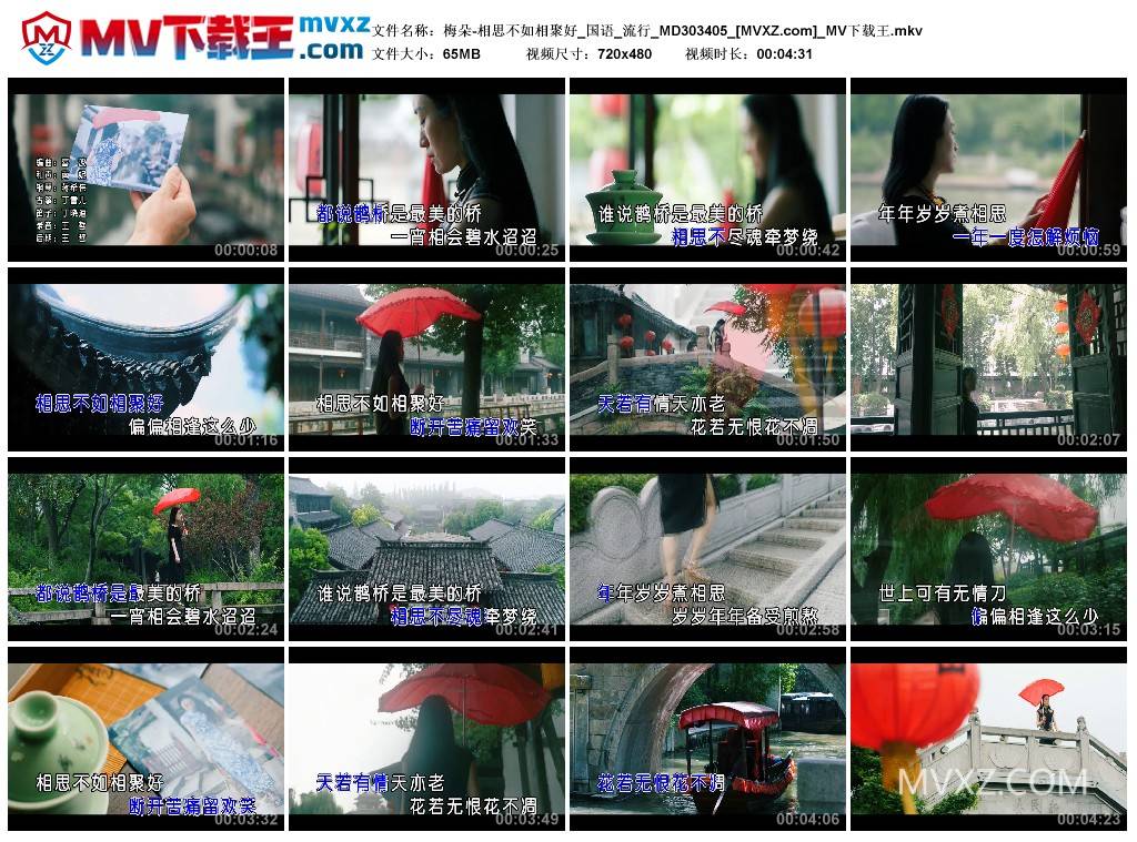 梅朵-相思不如相聚好_国语_流行_MD303405